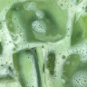 Meet your Posher, Talia